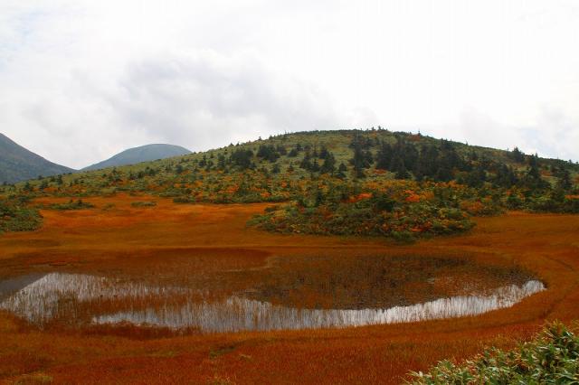 田茂萢湿原の紅葉
