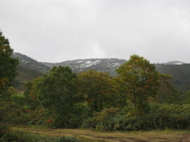 苗場山では初冠雪を記録！　標高1400ｍは真っ白になっています 