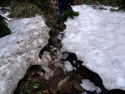 上の芝　⇔　神楽ヶ峰
　・場所により残雪がありますが、アイゼンは不要です。
　・道迷い防止のピンクリボンを目印にしてください。