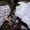 上の芝　⇔　神楽ヶ峰
　・場所により残雪がありますが、アイゼンは不要です。
　・道迷い防止のピンクリボンを目印にしてください。