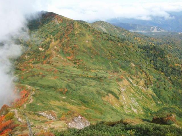 昨年2014年の雲尾坂から神楽ヶ峰方面の紅葉
今年も同じくらいに進んでいます。