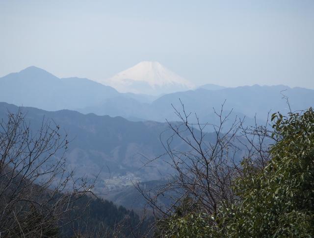 高尾山頂からの冨士山 