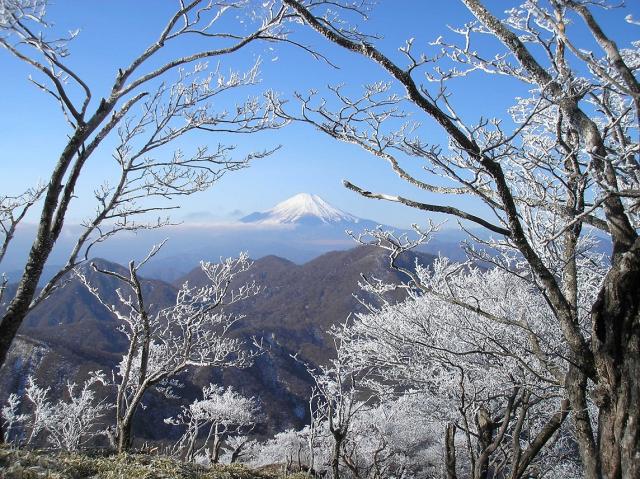 未明の霧で山頂は霧氷の花。その合間に富士山の展望 