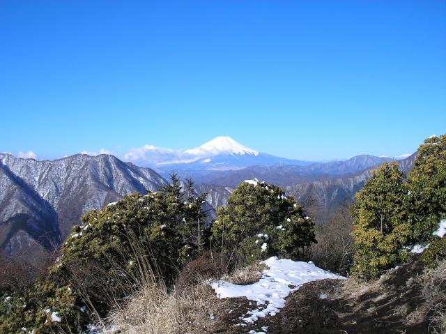 蛭ヶ岳山頂からの富士山。一気に春めいてきました 