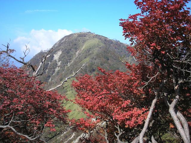 蛭ヶ岳では山頂で紅葉が見頃です 