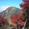 蛭ヶ岳では山頂で紅葉が見頃です 