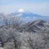 お正月に見えた富士山 