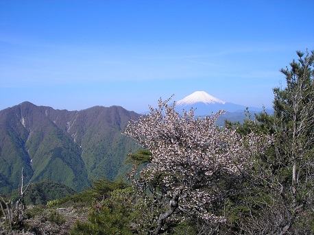 富士山を望む山頂からの展望　