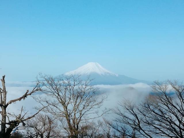 今朝は雪化粧した富士山が見事です