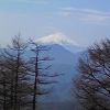 雲取山から富士山 