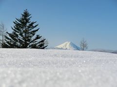 例年より多い雪の向こうに富士山