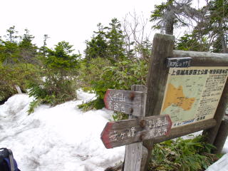 富士見平分岐には、まだ残雪があります。迷わないように注意 