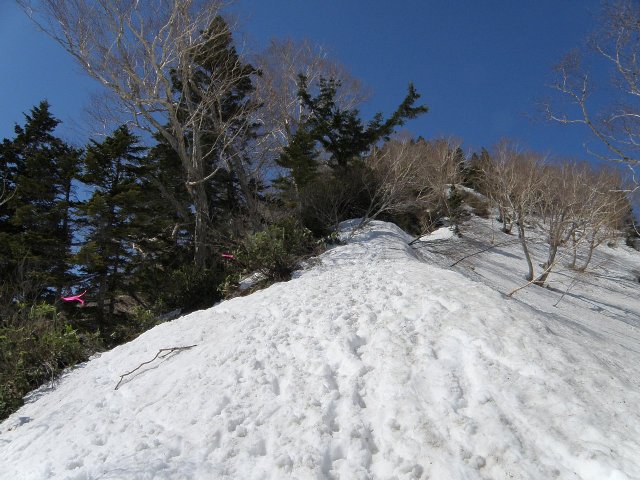 稜線上はこんな感じ。夏道よりも雪上のほうが歩きやすいのですが・・・ 