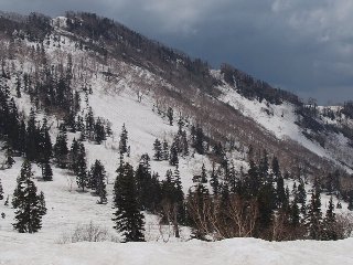 黒沢岳のトラバースはまだ全面雪道 