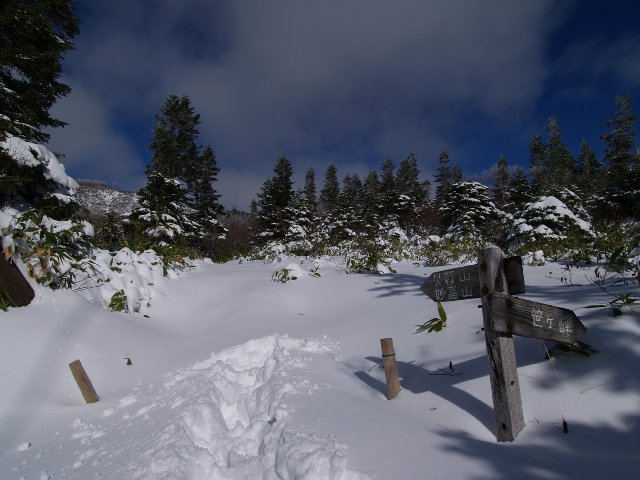 ヒュッテ横の木道は雪に埋没。木道を踏み外しやすく、バランスを崩しやすいので要注意 