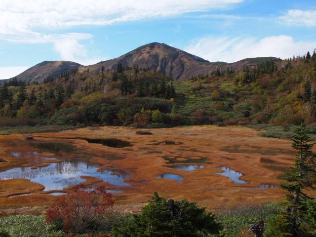 紅葉が始まった高谷池湿原 