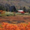 連休中に、今年の紅葉のピークを迎えた高谷池湿原とヒュッテ 