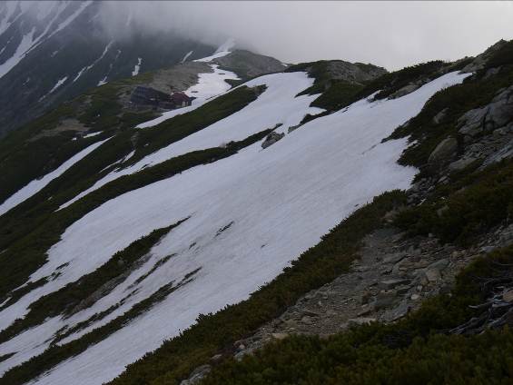北岳山荘側のトラバース道に残雪あるため、稜線へ出てください 