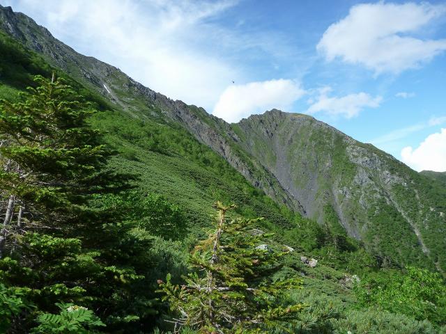 北岳山荘水場へ下る道より、八本歯のコル方面を望む。緑が瑞々しく、すっかり夏山の光景です 