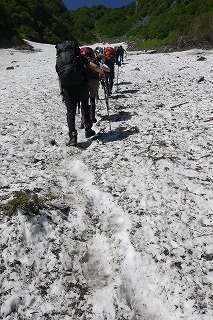 雪渓上には踏み跡が出来ています 