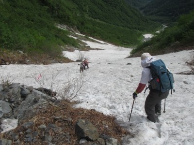 左俣コース　大樺沢上部の雪渓の状況です。