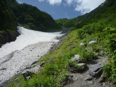 大樺沢上部二俣手前より。大樺沢に雪渓は残っていますが、全て夏道を歩くことができます