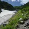 大樺沢上部二俣手前より。大樺沢に雪渓は残っていますが、全て夏道を歩くことができます