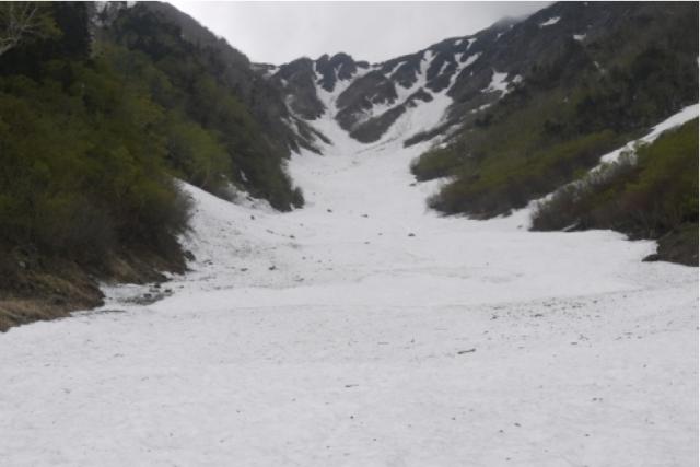 大樺沢左俣コースの残雪状況