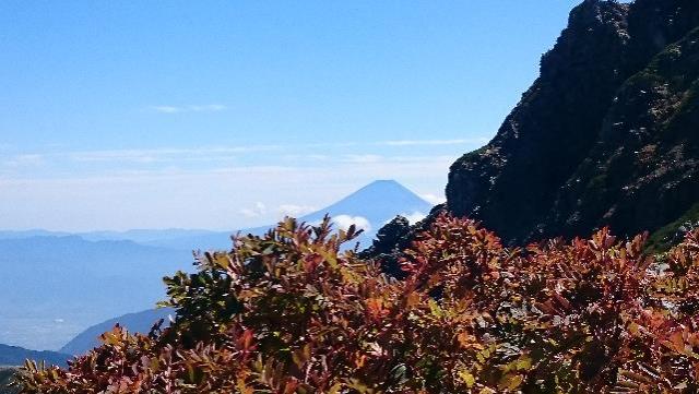 ナナカマドと富士山