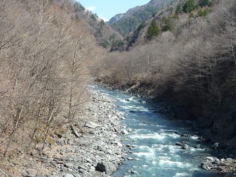 千石橋付近からの大井川本流　大井川、東俣と西俣の合流点の様子です。西俣（画像、右手前から）の水量が、東俣よりも多めに見えます。