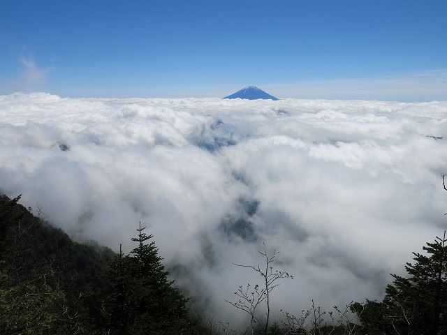 青薙登山口～赤崩の頭～青薙山～所の沢越～中の宿と回ってきました。途中で雲海の向こうに富士山が見えました。