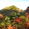 秋色の稜線と唐松岳