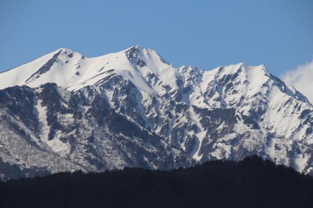 爺ヶ岳の雪形「種まき爺さん」（画像右側山頂下）も１ヶ月半以上早いペースで姿を見せています。