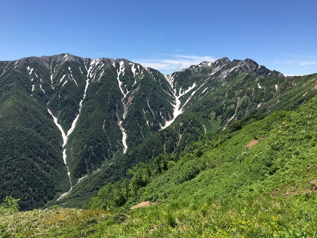 針ノ木大雪渓の雪量もまだまだ豊富。雪渓歩きの下山時は軽アイゼン等を用いてゆっくり安全に。右に針ノ木岳、左の平らな峰が蓮華岳。