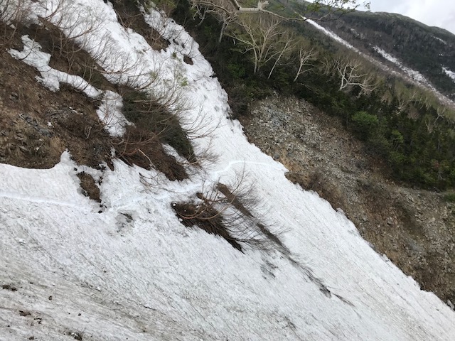 柏原新道の「ガラバ」付近雪切しましたが、だまだ慣れた方でなければ、滑落大事故の心配は常に付きまといます。安心登山は7月以降