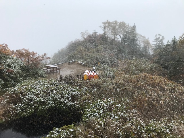 10/6初雪。昼前からはササの葉っぱやベンチの上を雪が白く染め始めました。