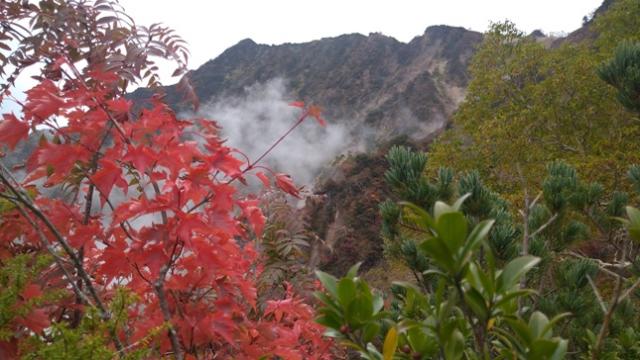 赤岩尾根中間帯からミネカエデの紅葉と爺ヶ岳北峰