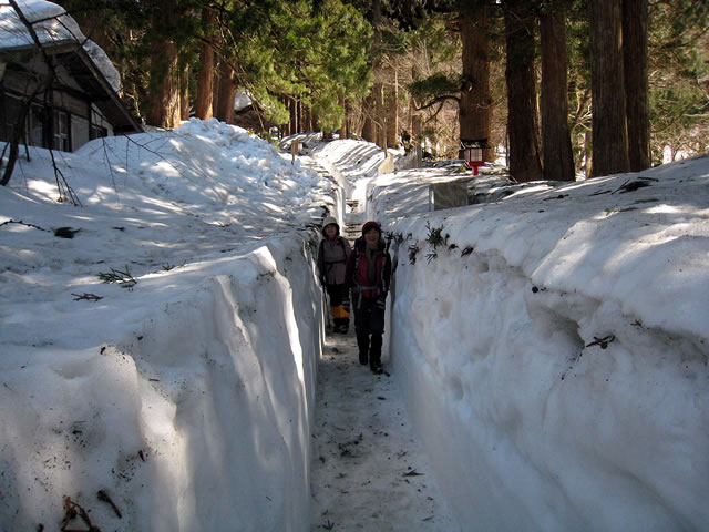 大神山神社へはこの雪回廊を抜けて行きます 