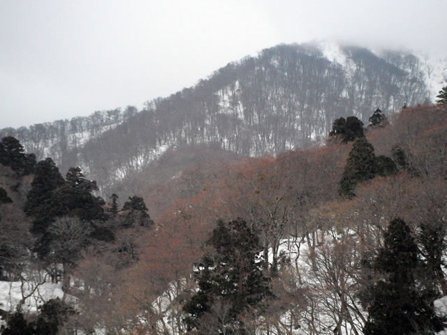 大山寺橋から見た登山道の稜線 