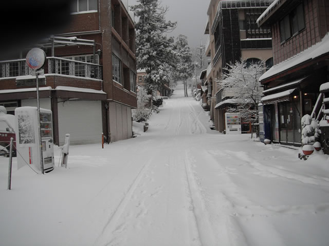 大山寺の参道も真っ白。気温-4℃。