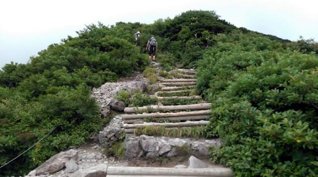 草鳴社ケルン付近を登る　撮影は大山プロガイド協会の利久(Rikyu)様