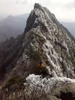 霧氷が美しく輝く石鎚山山頂 