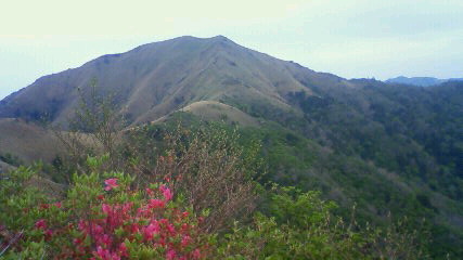 頂上から夕日のあたる槍戸山方面をながめると、遠目には咲き始めのツツジの色で紅色がいっぱい 