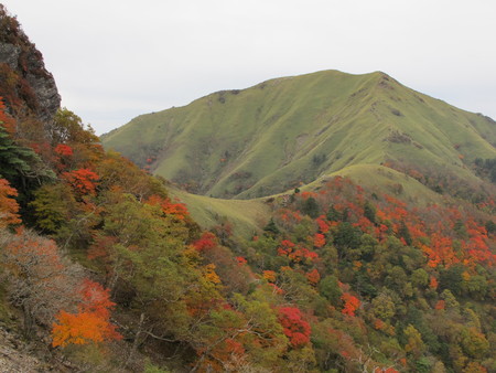 山頂付近が紅葉の見頃です 