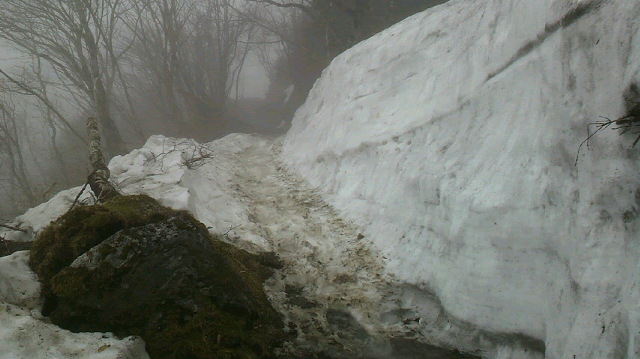 尾根道の雪