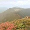 大船山の紅葉を見に行きました。山頂付近は色づいてきています。
