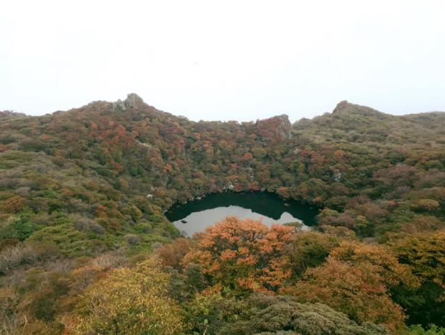 大船山の紅葉を見に行きました。山頂付近は色づいてきています。