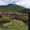 ミヤマキリシマシーズンとなりました。先月、立中山での登山者の不注意で発生した山火事跡を植生保護しています。