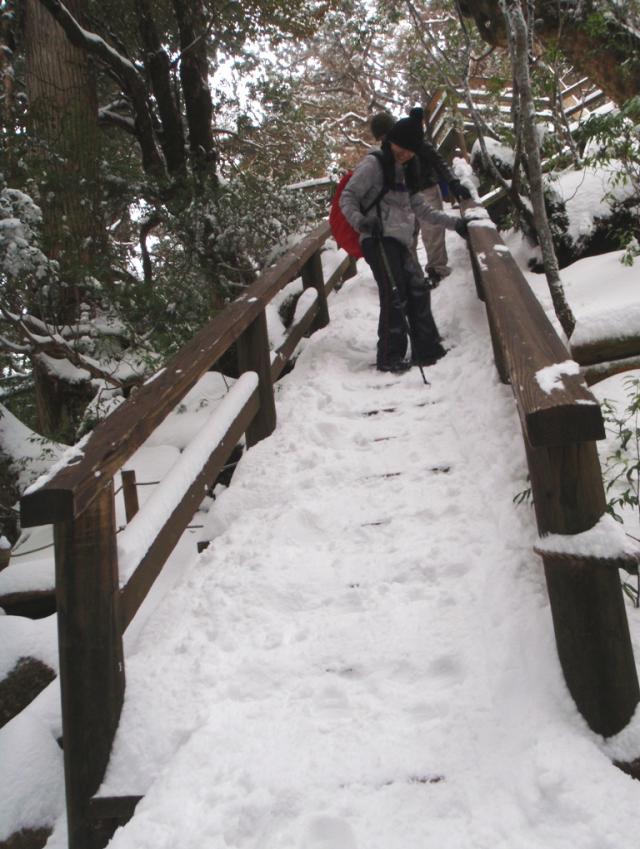 縄文杉デッキの階段 