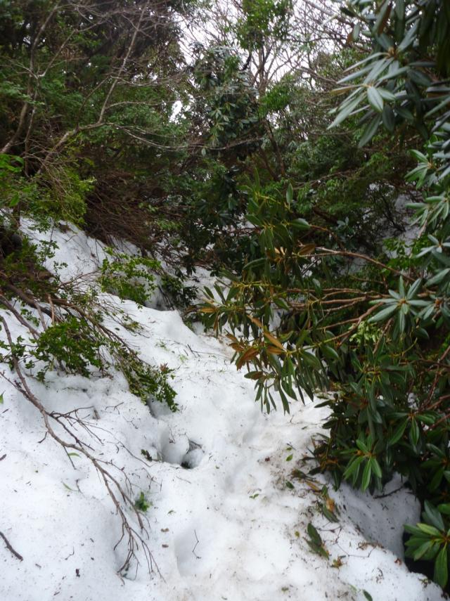 花之江河周辺積雪 